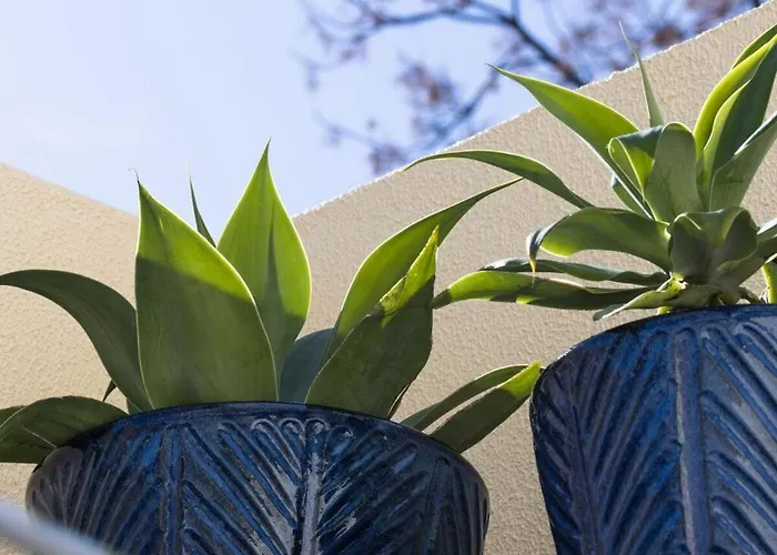 Fisherhouse23 Comfortable *