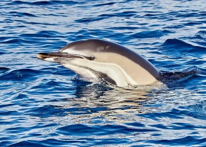 Fisherhouse23 Comfortable * 卡马拉-德洛布什