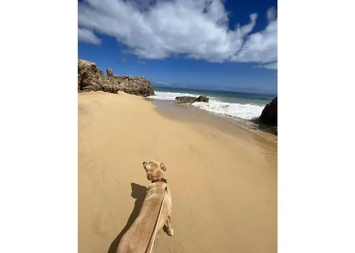 Fisherhouse23 Comfortable * 卡马拉-德洛布什